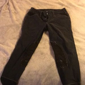 Equine Couture Riding Pants